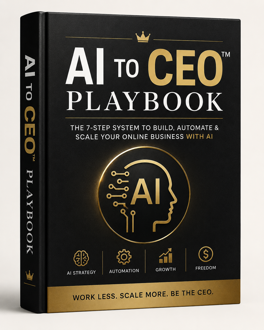 AI TO CEO Hero